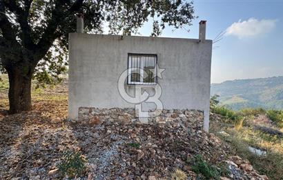 Kavacık’da geniş arazi içerisinde müstakil ev