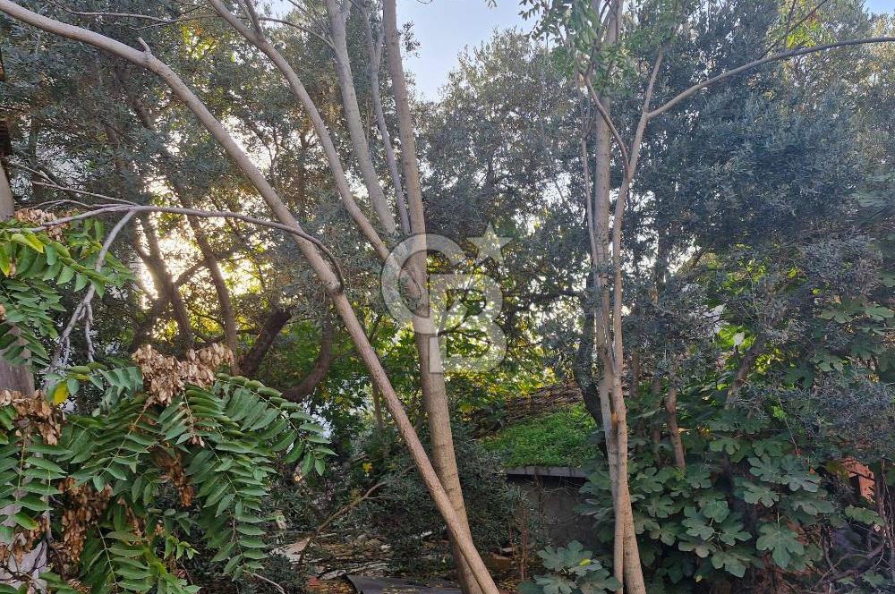 GEBZE ULUS MH 4 KAT KONUT İMARLIK SATILIK ARSA