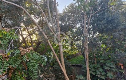 GEBZE ULUS MH 4 KAT KONUT İMARLIK SATILIK ARSA