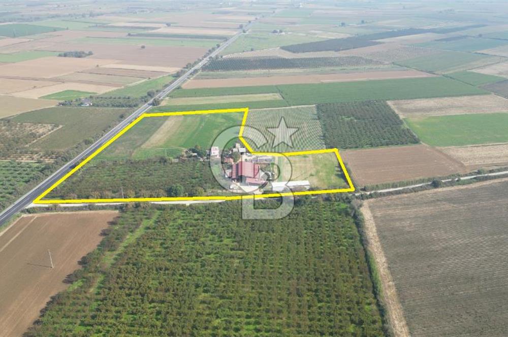 İzmir Tire Anayolu kenarında Satılık 40.000 m² Müştemilatlı Tarla