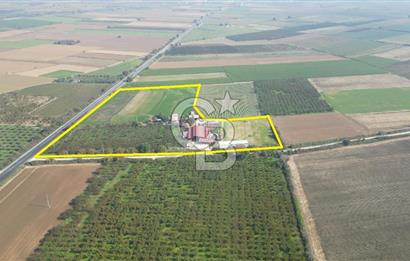 İzmir Tire Anayolu kenarında Satılık 40.000 m² Müştemilatlı Tarla