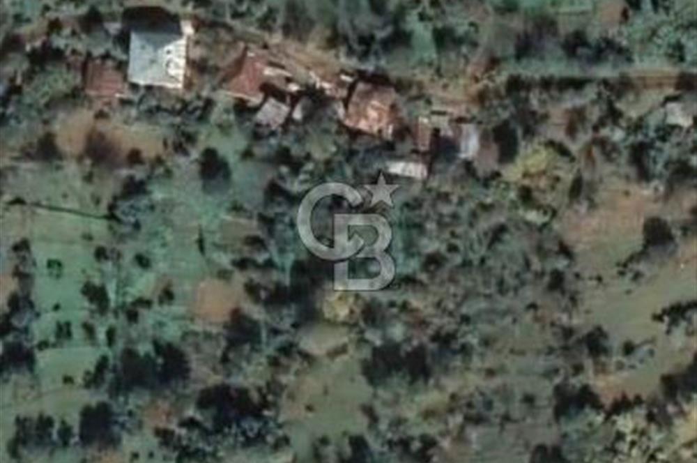 COLDWELL BANKER NET GAYRİMENKUL'DEN ARTVİNDE SATLIK TARLA