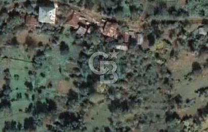 COLDWELL BANKER NET GAYRİMENKUL'DEN ARTVİNDE SATLIK TARLA