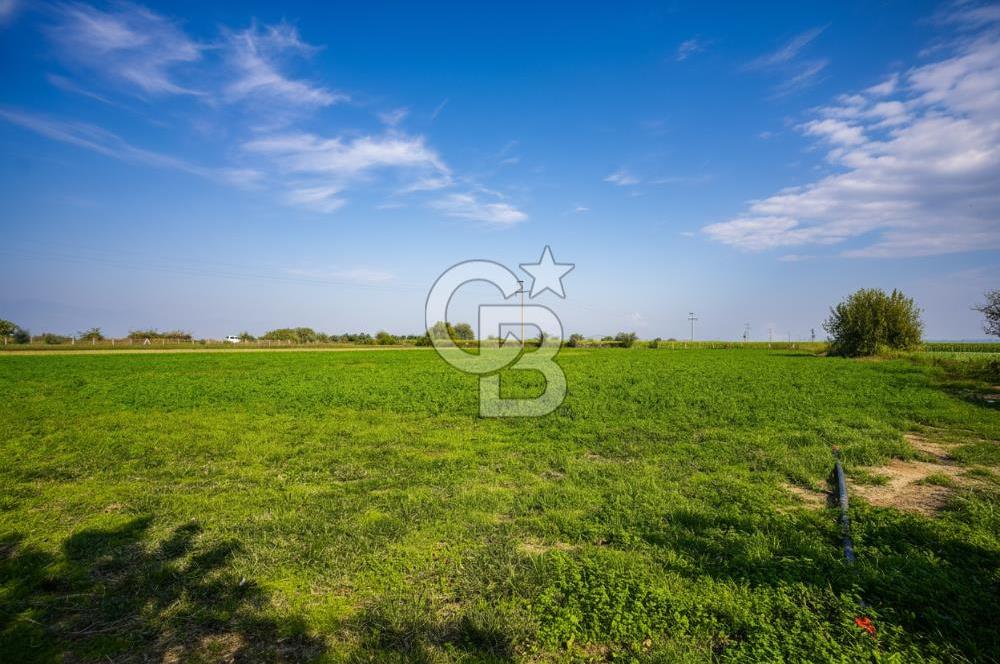 İzmir Tire Anayolu kenarında Satılık 40.000 m² Müştemilatlı Tarla