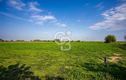 İzmir Tire Anayolu kenarında Satılık 40.000 m² Müştemilatlı Tarla