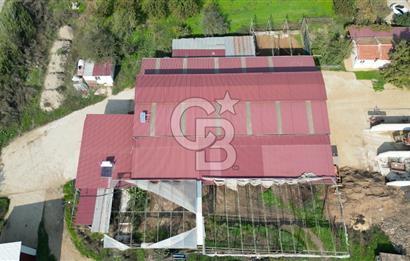 İzmir Tire Anayolu kenarında Satılık 40.000 m² Müştemilatlı Tarla