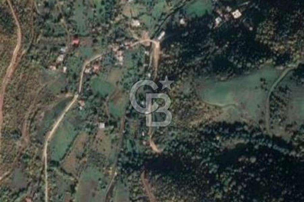 COLDWELL BANKER NET GAYRİMENKUL'DEN ARTVİNDE SATLIK TARLA