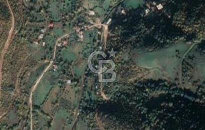 COLDWELL BANKER NET GAYRİMENKUL'DEN ARTVİNDE SATLIK TARLA