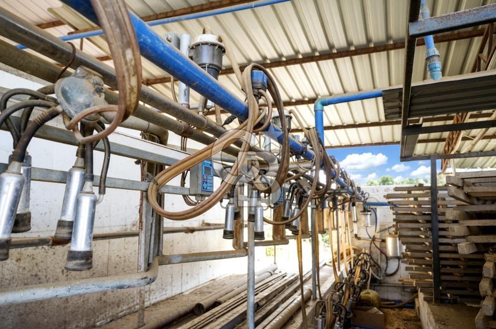 İzmir Tire Anayolu kenarında Satılık 40.000 m² Müştemilatlı Tarla