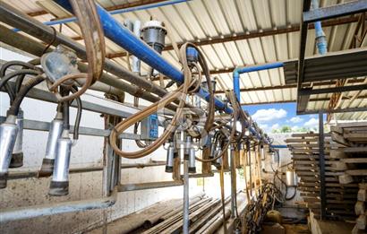 İzmir Tire Anayolu kenarında Satılık 40.000 m² Müştemilatlı Tarla