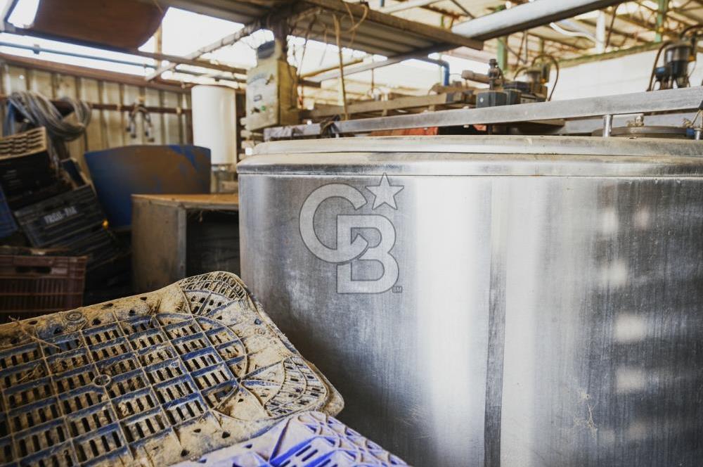 İzmir Tire Anayolu kenarında Satılık 40.000 m² Müştemilatlı Tarla