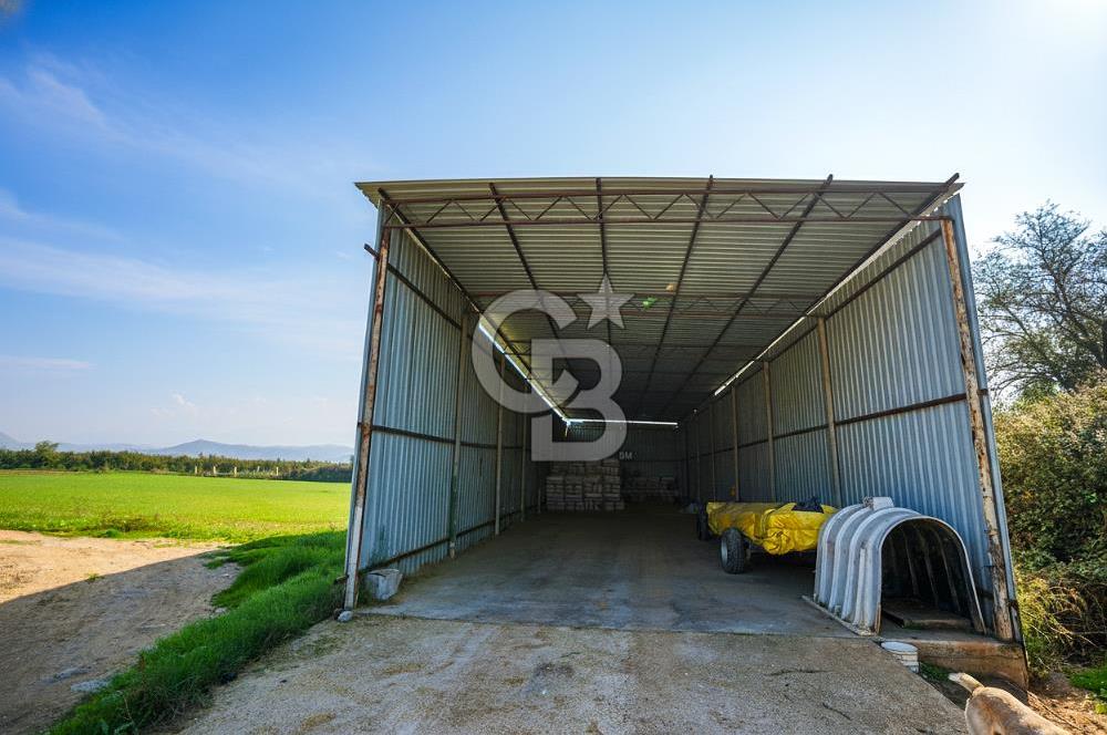 İzmir Tire Anayolu kenarında Satılık 40.000 m² Müştemilatlı Tarla