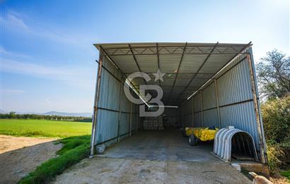 İzmir Tire Anayolu kenarında Satılık 40.000 m² Müştemilatlı Tarla