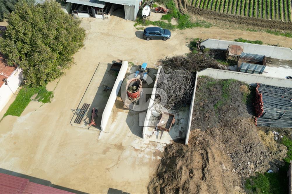 İzmir Tire Anayolu kenarında Satılık 40.000 m² Müştemilatlı Tarla