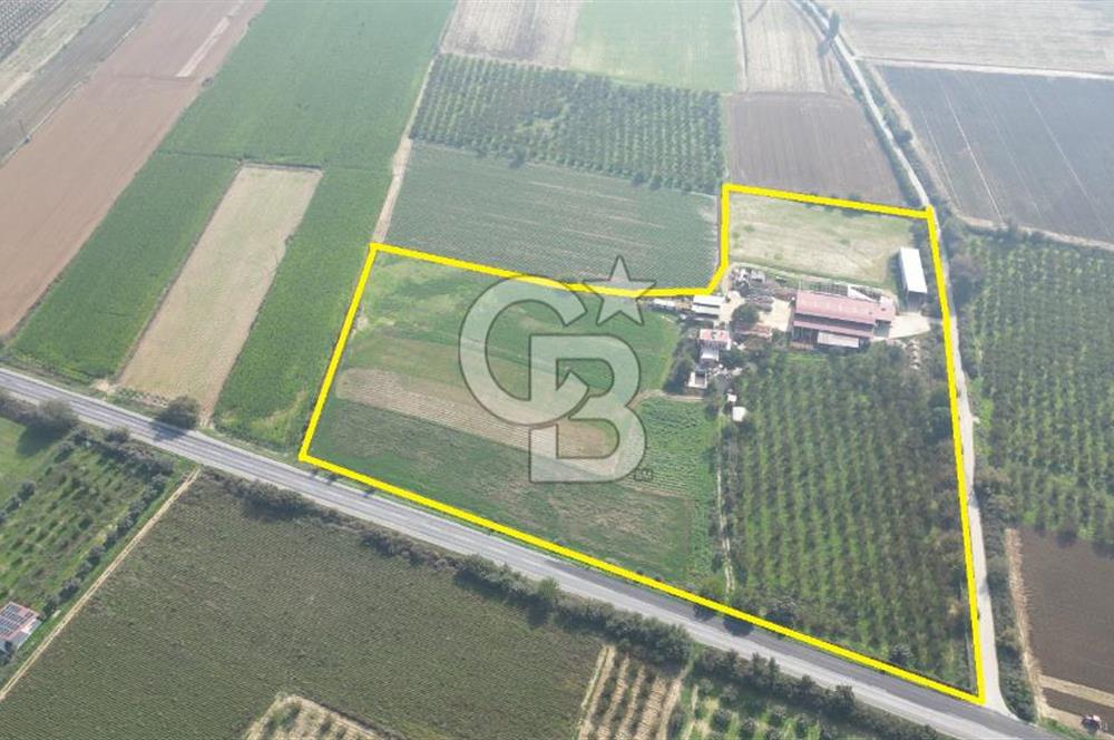 İzmir Tire Anayolu kenarında Satılık 40.000 m² Müştemilatlı Tarla