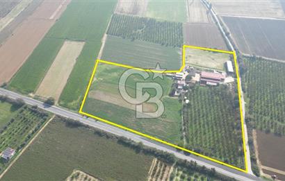 İzmir Tire Anayolu kenarında Satılık 40.000 m² Müştemilatlı Tarla