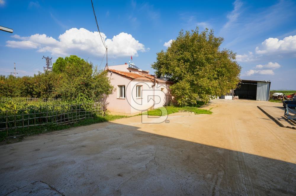 İzmir Tire Anayolu kenarında Satılık 40.000 m² Müştemilatlı Tarla