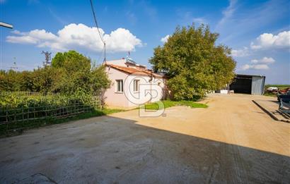 İzmir Tire Anayolu kenarında Satılık 40.000 m² Müştemilatlı Tarla