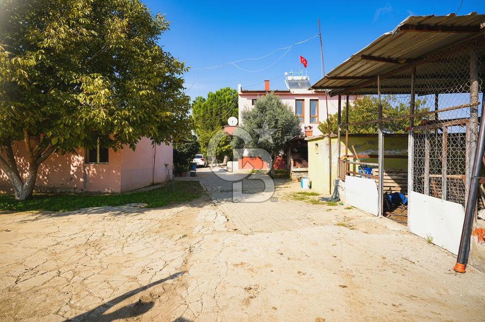 İzmir Tire Anayolu kenarında Satılık 40.000 m² Müştemilatlı Tarla