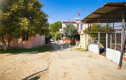 İzmir Tire Anayolu kenarında Satılık 40.000 m² Müştemilatlı Tarla