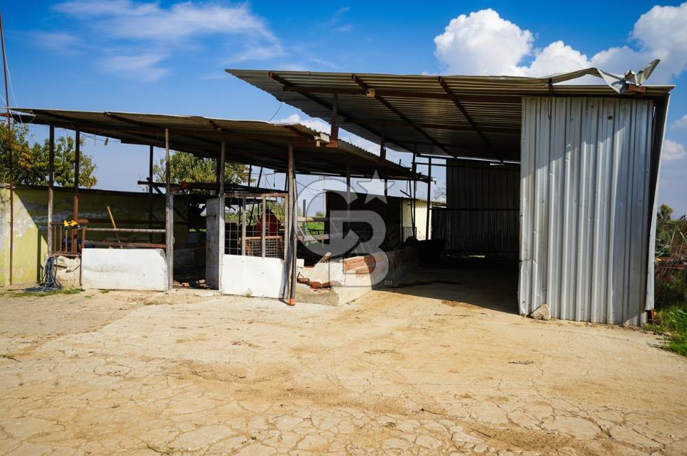 İzmir Tire Anayolu kenarında Satılık 40.000 m² Müştemilatlı Tarla