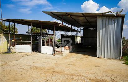 İzmir Tire Anayolu kenarında Satılık 40.000 m² Müştemilatlı Tarla