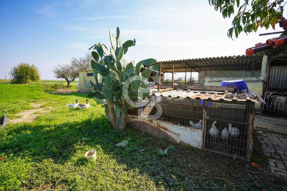 İzmir Tire Anayolu kenarında Satılık 40.000 m² Müştemilatlı Tarla