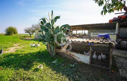 İzmir Tire Anayolu kenarında Satılık 40.000 m² Müştemilatlı Tarla