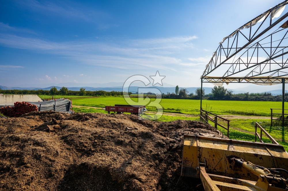 İzmir Tire Anayolu kenarında Satılık 40.000 m² Müştemilatlı Tarla