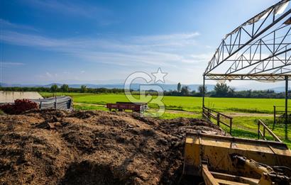 İzmir Tire Anayolu kenarında Satılık 40.000 m² Müştemilatlı Tarla