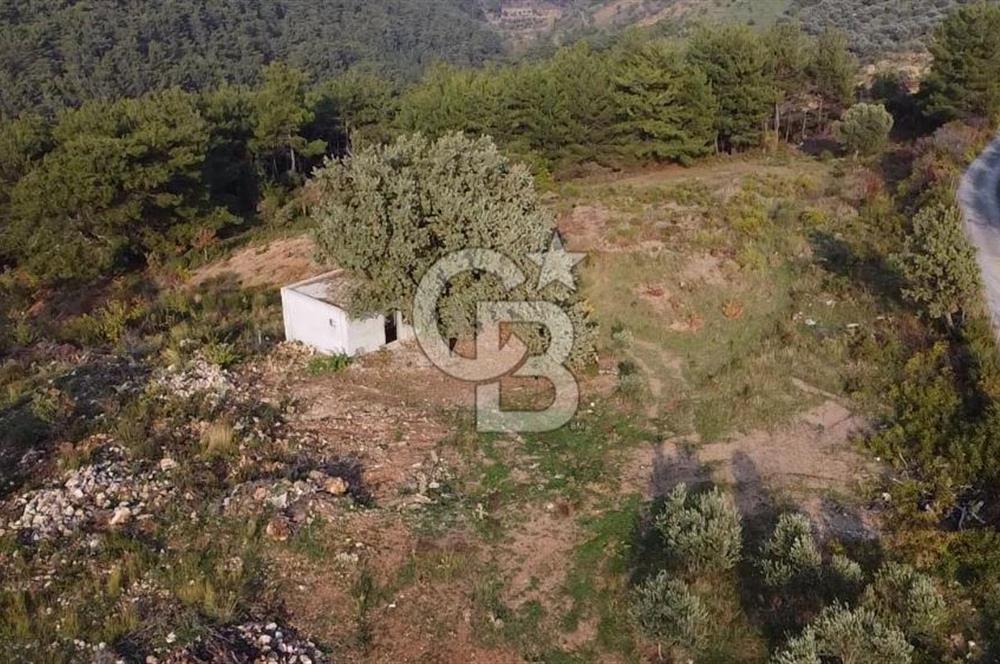 Kavacık’da geniş arazi içerisinde müstakil ev