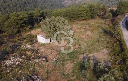 Kavacık’da geniş arazi içerisinde müstakil ev