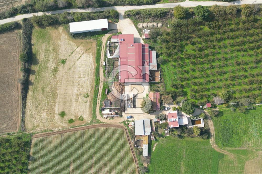 İzmir Tire Anayolu kenarında Satılık 40.000 m² Müştemilatlı Tarla