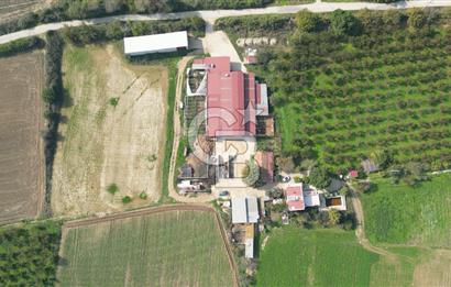 İzmir Tire Anayolu kenarında Satılık 40.000 m² Müştemilatlı Tarla