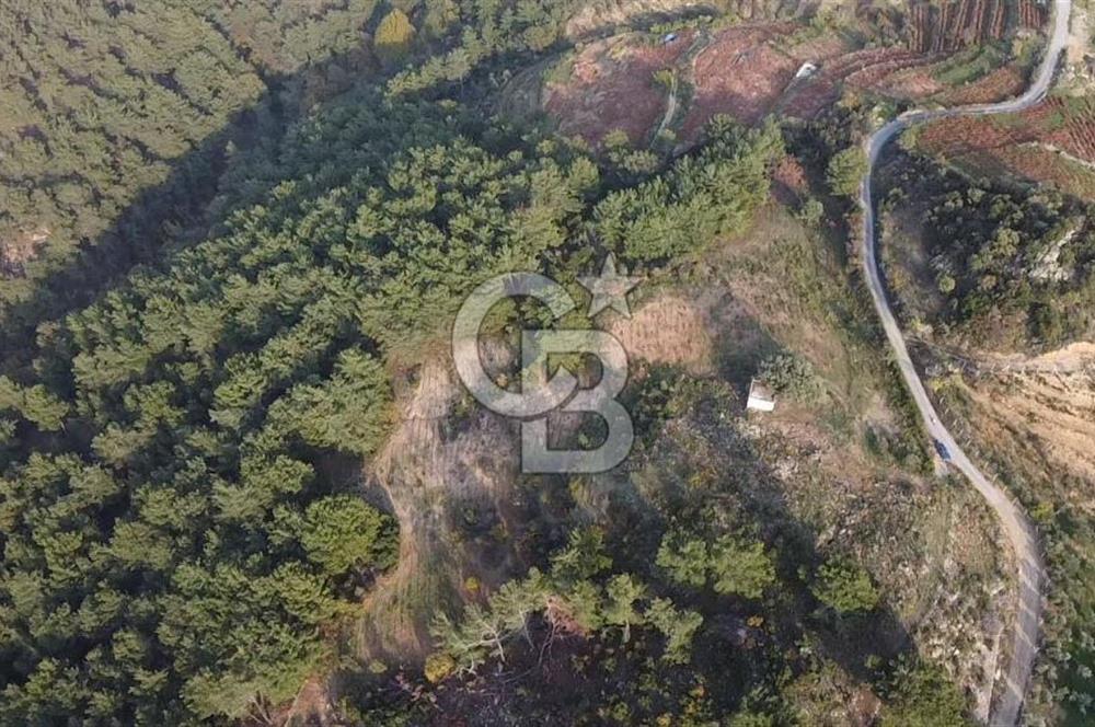 Kavacık’da geniş arazi içerisinde müstakil ev