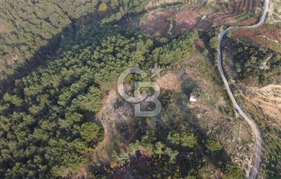 Kavacık’da geniş arazi içerisinde müstakil ev