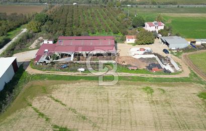 İzmir Tire Anayolu kenarında Satılık 40.000 m² Müştemilatlı Tarla