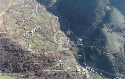 COLDWELL BANKER NET GAYRİMENKUL'DEN ARTVİNDE SATLIK TARLA