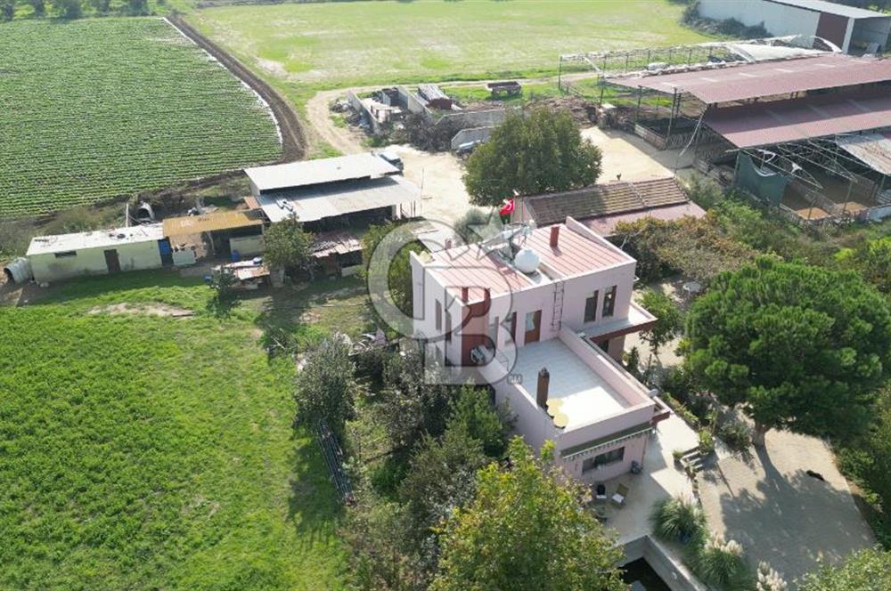 İzmir Tire Anayolu kenarında Satılık 40.000 m² Müştemilatlı Tarla