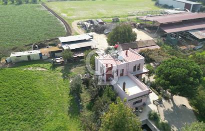 İzmir Tire Anayolu kenarında Satılık 40.000 m² Müştemilatlı Tarla