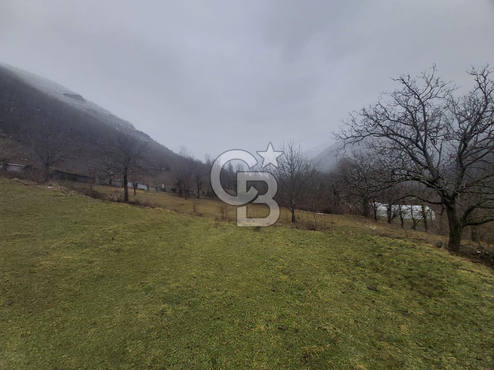 COLDWELL BANKER NET GAYRİMENKUL'DEN ARTVİNDE SATLIK TARLA