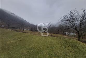 COLDWELL BANKER NET GAYRİMENKUL'DEN ARTVİNDE SATLIK TARLA - 1 - 313304