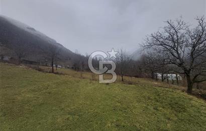 COLDWELL BANKER NET GAYRİMENKUL'DEN ARTVİNDE SATLIK TARLA