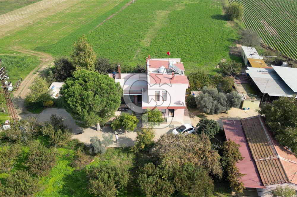 İzmir Tire Anayolu kenarında Satılık 40.000 m² Müştemilatlı Tarla