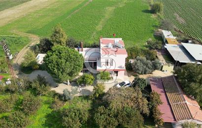 İzmir Tire Anayolu kenarında Satılık 40.000 m² Müştemilatlı Tarla