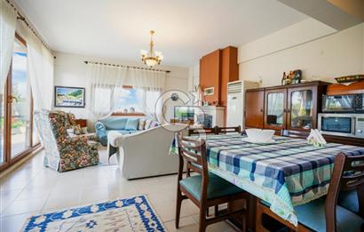 İzmir Tire Anayolu kenarında Satılık 40.000 m² Müştemilatlı Tarla