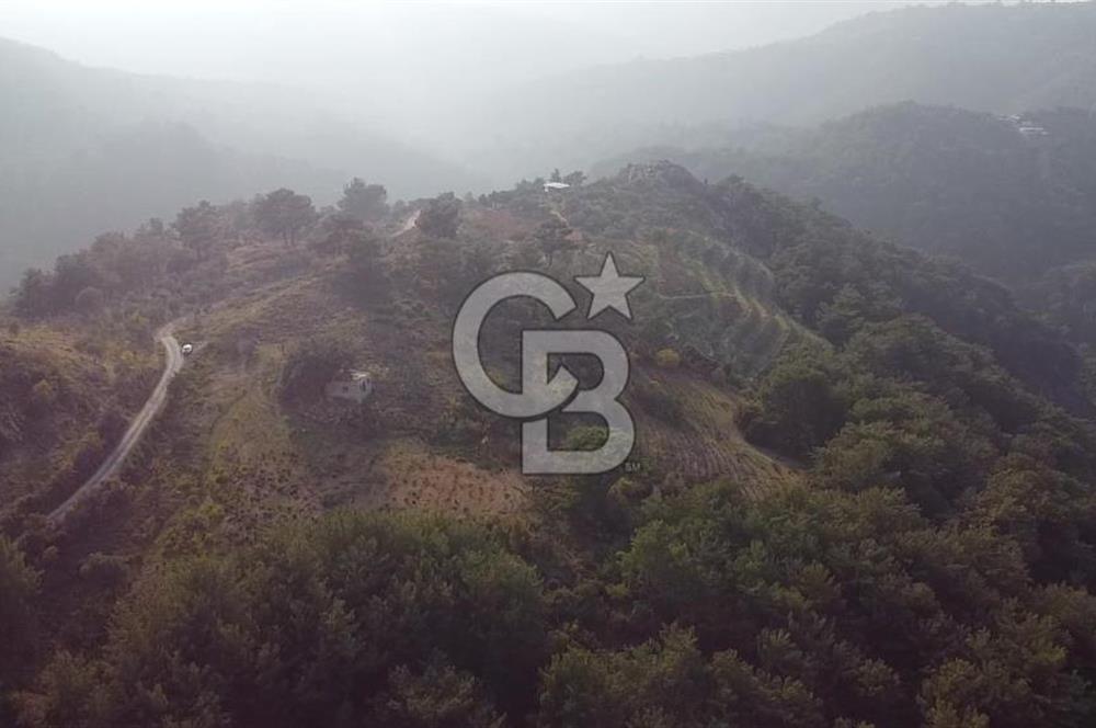 Kavacık’da geniş arazi içerisinde müstakil ev