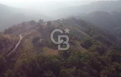 Kavacık’da geniş arazi içerisinde müstakil ev