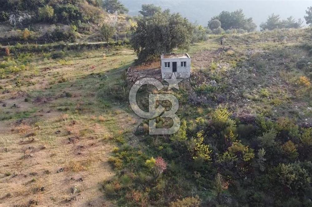 Kavacık’da geniş arazi içerisinde müstakil ev