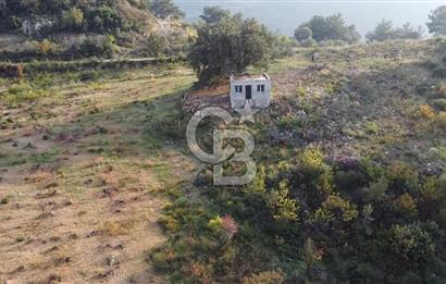 Kavacık’da geniş arazi içerisinde müstakil ev